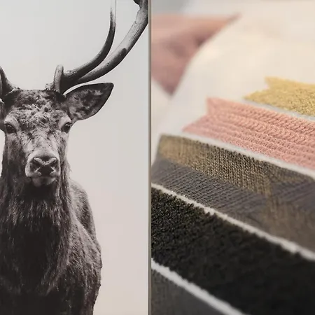 Abeto * Yaiza (Lanzarote)